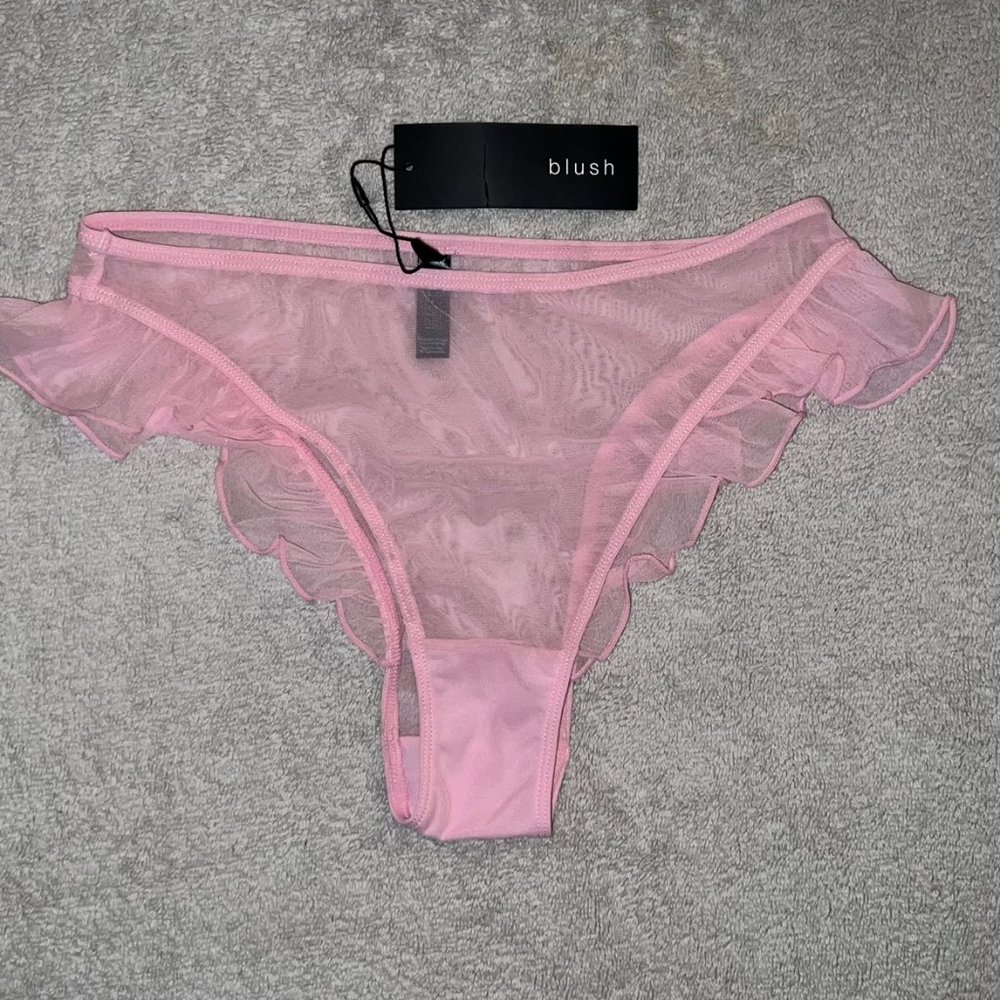 *RARE* Blush Lingerie - 'Flutter' High Leg Sheer Mesh Bikini - Picture 2 of 6